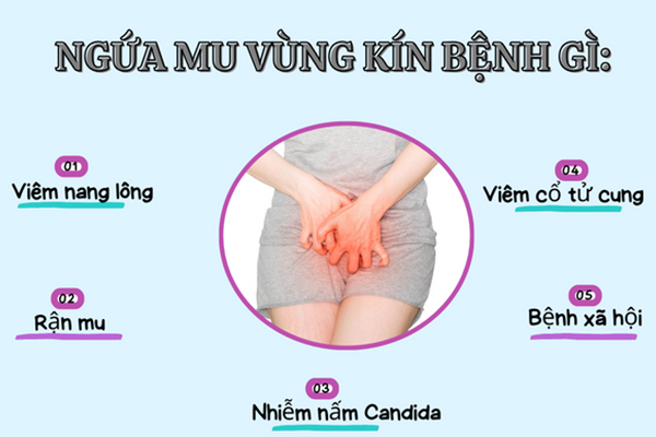 5 nguyên nhân gây ngứa mu vùng kín và cách khắc phục