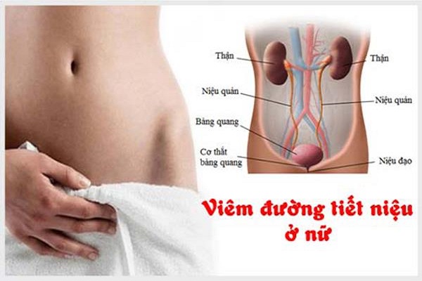 Khám tiết niệu nữ giới ở đâu – Chia sẻ địa chỉ được đánh giá tốt nhất hiện nay
