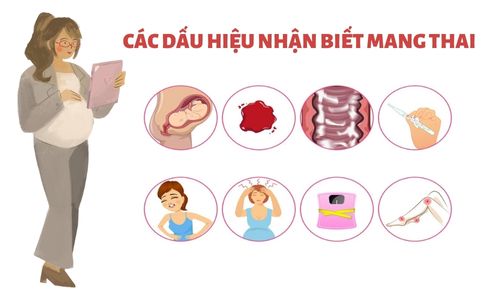 Dau-hieu-nhan-biet-mang-thai