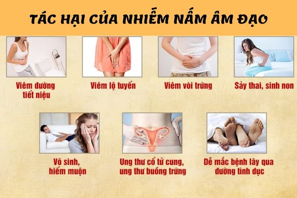 Cach-tri-nam-am-dao-2