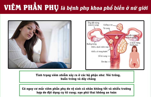 Viem-phan-phu