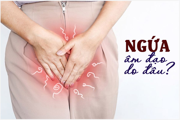 Ngua-am-dao